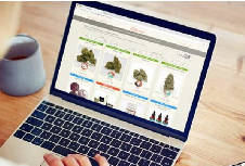 什么樣的品牌設(shè)計(jì)是成功的呢？