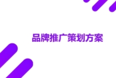 如何進(jìn)行有效的品牌策劃吸引消費(fèi)者，提高市場份額？