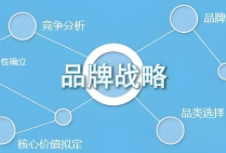 品牌戰(zhàn)略規(guī)劃的重要性、核心要素以及實施步驟，為企業(yè)提供有益的指導(dǎo)