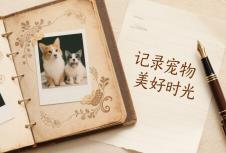 如何選擇專業(yè)的品牌策劃公司？企業(yè)決策指南